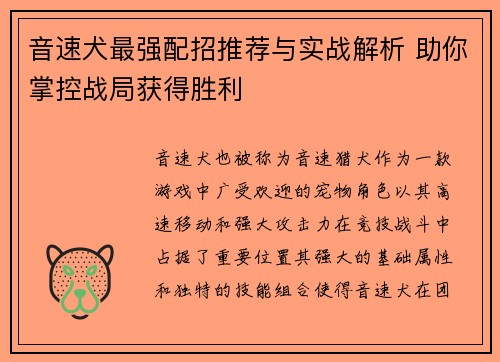 音速犬最强配招推荐与实战解析 助你掌控战局获得胜利
